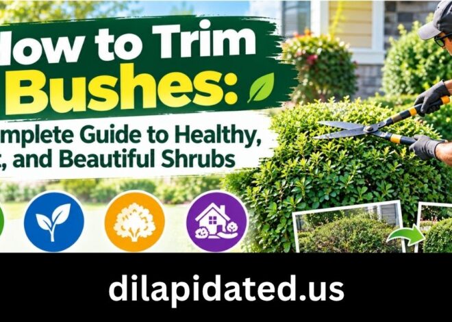 How to Trim Bushes: A Complete Guide to Healthy, Neat, and Beautiful Shrubs