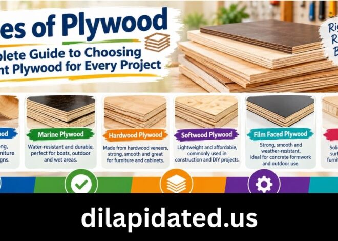 Types of Plywood: A Complete Guide to Choosing the Right Plywood for Every Project